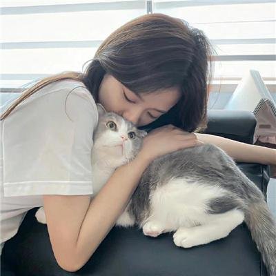 爱情公寓5